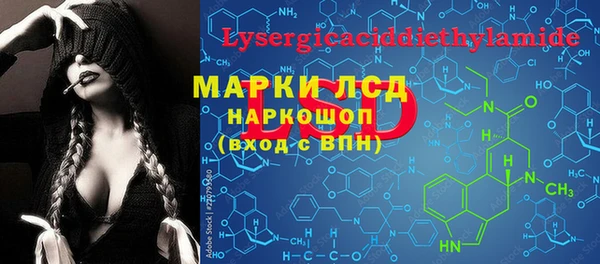 амф Магас